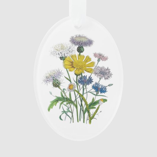 Cornblumen Ornament (Vorderseite)