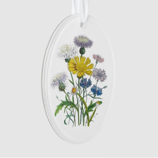 Cornblumen Ornament (Vorderseite)