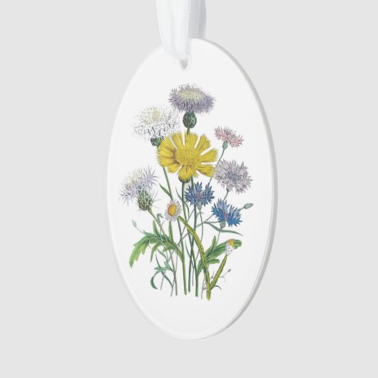 Cornblumen Ornament (Vorderseite)
