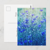 Cornblumen Postkarte (Vorne/Hinten)