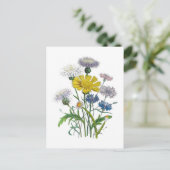 Cornblumen Postkarte (Stehend Vorderseite)