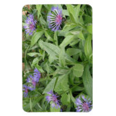 Cornblumen Premium Magnet (Vertikal)