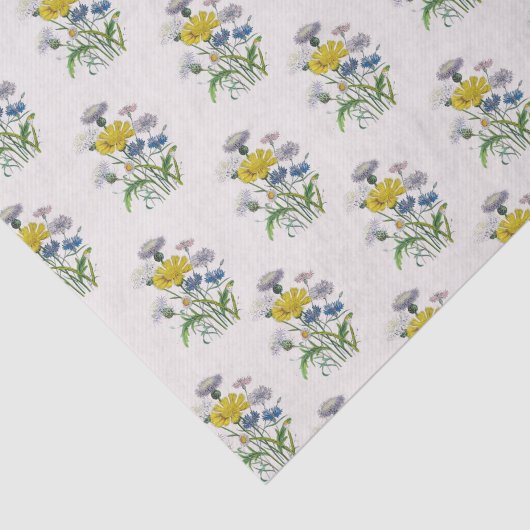 Cornblumen Seidenpapier (Ausschnitt)