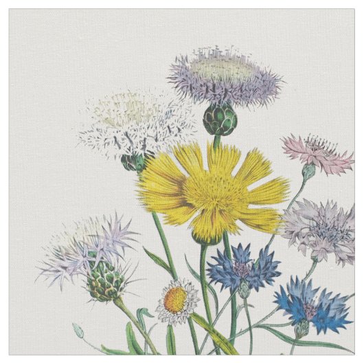 Cornblumen Stoff (Nahaufnahme)