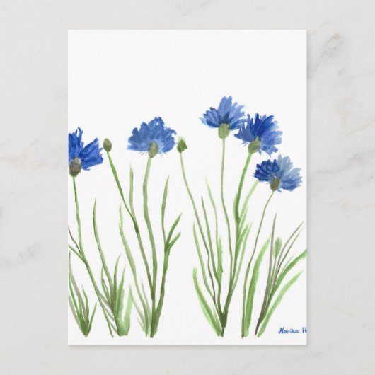 Cornblumenblau florale Aquarell rustikal hübsch Postkarte (Vorderseite)