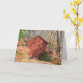 Corncrib Notecard Karte (Gelbe Blume)