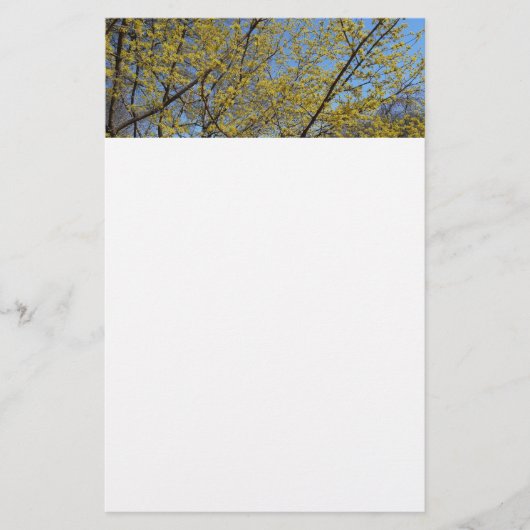 Cornelian Cherry Dogwood und Blue Sky Floral Briefpapier (Vorderseite)