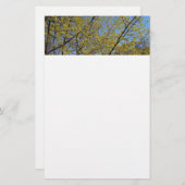 Cornelian Cherry Dogwood und Blue Sky Floral Briefpapier (Vorne/Hinten)