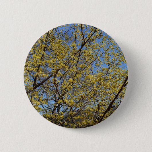 Cornelian Cherry Dogwood und Blue Sky Floral Button (Vorderseite)