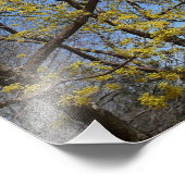 Cornelian Cherry Dogwood und Blue Sky Floral Fotodruck (Ecke)