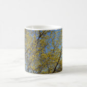 Cornelian Cherry Dogwood und Blue Sky Floral Kaffeetasse (Mittel)