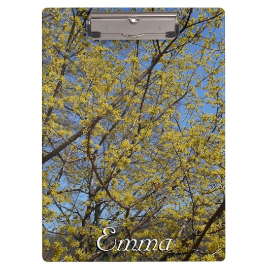 Cornelian Cherry Dogwood und Blue Sky Floral Klemmbrett (Vorderseite)