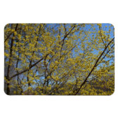 Cornelian Cherry Dogwood und Blue Sky Floral Magnet (Horizontal)