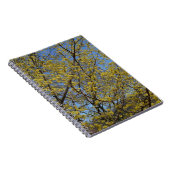 Cornelian Cherry Dogwood und Blue Sky Floral Notizblock (Rechte Seite)