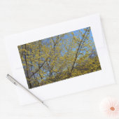 Cornelian Cherry Dogwood und Blue Sky Floral Rechteckiger Aufkleber (Umschlag)