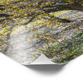 Cornelian Cherry Dogwood und Glory of the Snow Fotodruck (Ecke)