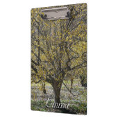 Cornelian Cherry Dogwood und Glory of the Snow Klemmbrett (Links)