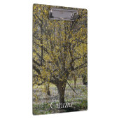 Cornelian Cherry Dogwood und Glory of the Snow Klemmbrett (Rechts)