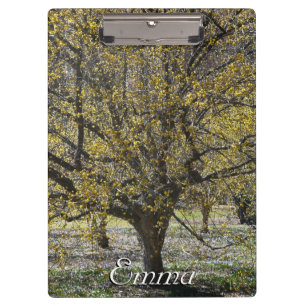 Cornelian Cherry Dogwood und Glory of the Snow Klemmbrett