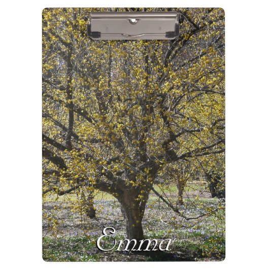 Cornelian Cherry Dogwood und Glory of the Snow Klemmbrett (Vorderseite)