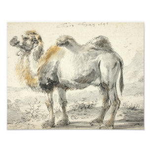 Cornelis Saftleven - A Camel Fotodruck