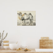 Cornelis Saftleven - A Camel Poster (Küche)