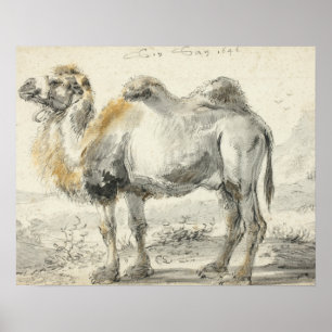 Cornelis Saftleven - A Camel Poster