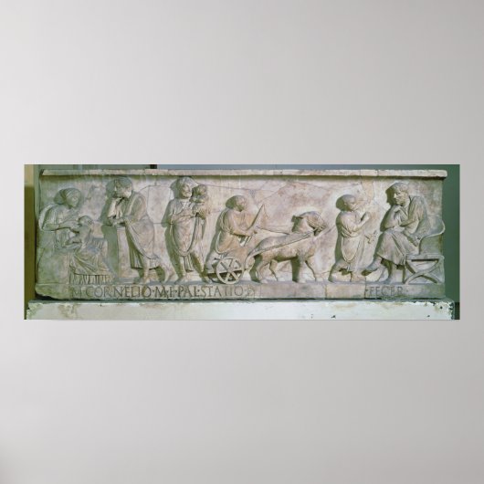 Cornelius Statius Poster (Vorne)