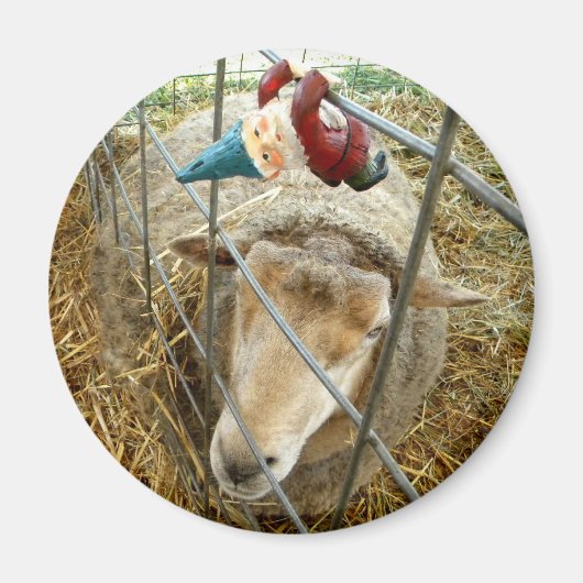 Cornelius und die Schafe Magnet (Vorne)