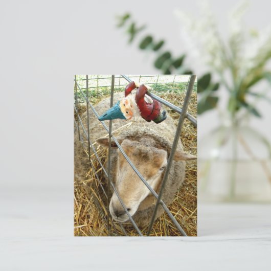 Cornelius und die Schafe Postkarte (Stehend Vorderseite)