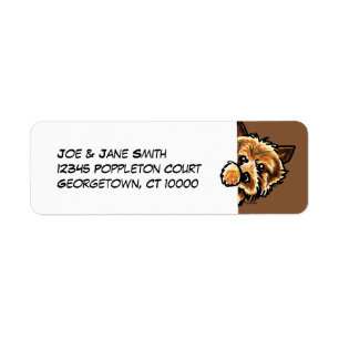 Corner Norwich Terrier