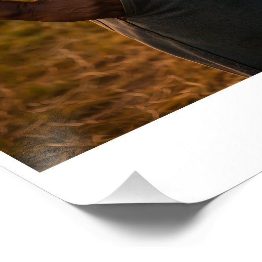 Cornfield at Sunset Poster (Ecke)