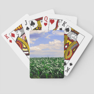 "Cornfield Blowing in the Wind" collection Spielkarten
