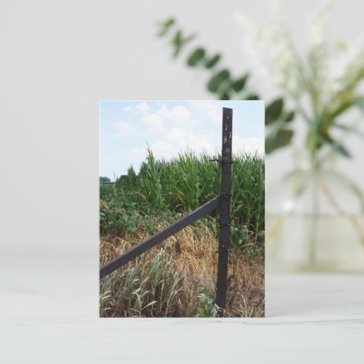 Cornfield hinter dem Zaun Postkarte (Stehend Vorderseite)
