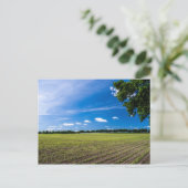 Cornfield in der Sonne Postkarte (Stehend Vorderseite)