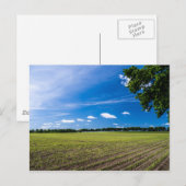 Cornfield in der Sonne Postkarte (Vorne/Hinten)