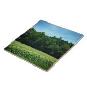 Cornfield in North North Carolina Fliese (Seite)