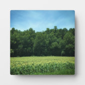 Cornfield in North North Carolina Fotoplatte (Vorderseite)