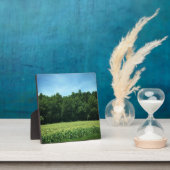 Cornfield in North North Carolina Fotoplatte (InSitu)