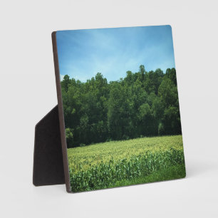 Cornfield in North North Carolina Fotoplatte