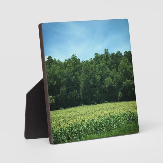 Cornfield in North North Carolina Fotoplatte (Vorderseite)