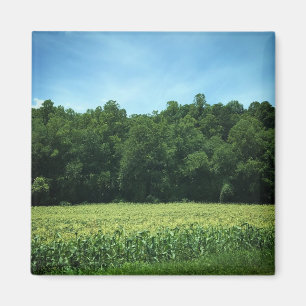 Cornfield in Rural North Carolina Poster Magnet