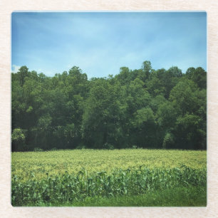 Cornfield in Rural North Carolina Poster Magnet Ke Glasuntersetzer
