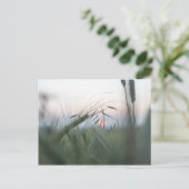 Cornfield Nature Foto Postkarte (Stehend Vorderseite)