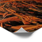 Cornfield Poster (Ecke)