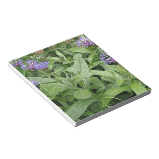 Cornflores Notepad Notizblock (angewinkelt)