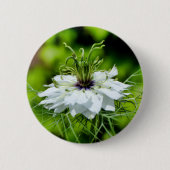 Cornflower-Abzeichen Button (Vorderseite)