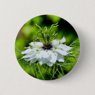 Cornflower-Abzeichen Button