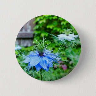 Cornflower-Abzeichen Button