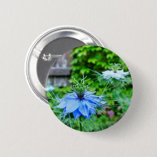Cornflower-Abzeichen Button (Vorne & Hinten)